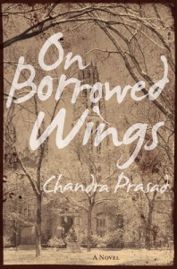On Borrowed Wings by Chandra Prasad