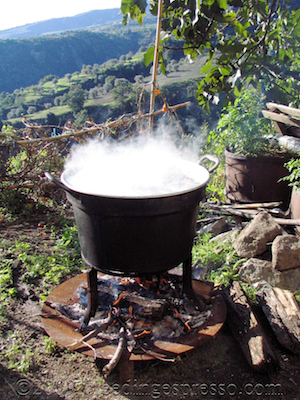 Boiling cauldron