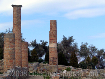 Columns at Tindari, Sicily on Flickr