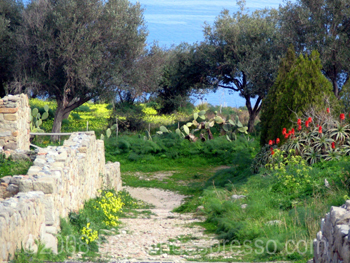 Ruins at Tindari, Sicily at Flickr