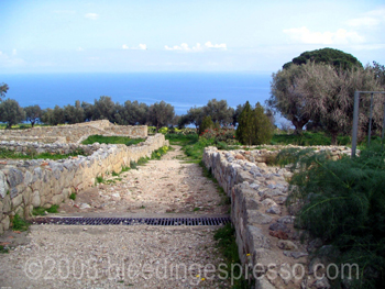 Ruins at Tindari, Sicily on Flickr