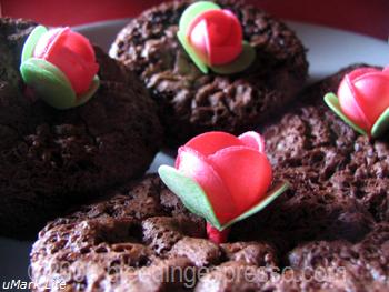 Gluten-free chocolate coconut muffins on Flickr