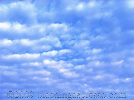 Mackerel clouds on Flickr