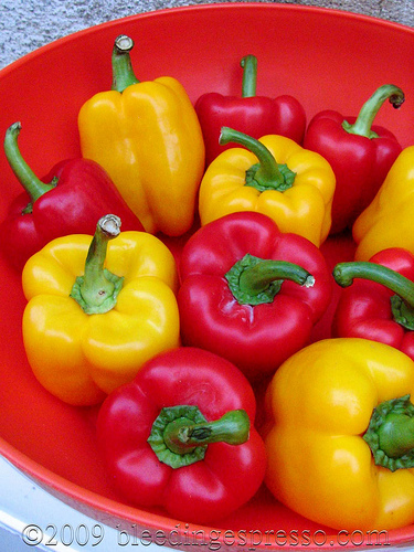 Pick a pepper on Flickr