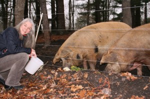  - Susie-fed-the-pigs_1-300x199