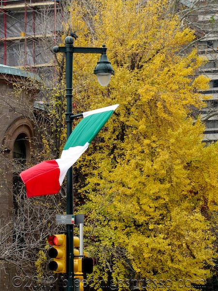 Italy's flag on the Ben Franklin Parkway; the rest are in alphabetical order, but Italy's is placed specially so it's adjacent to the Cathedral.