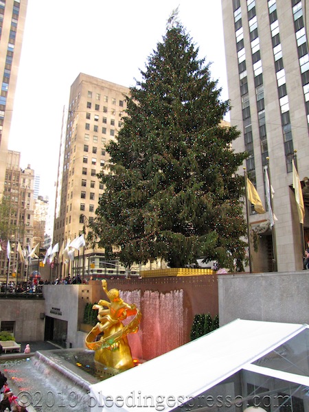 Tree at Rockefeller Center, 2009