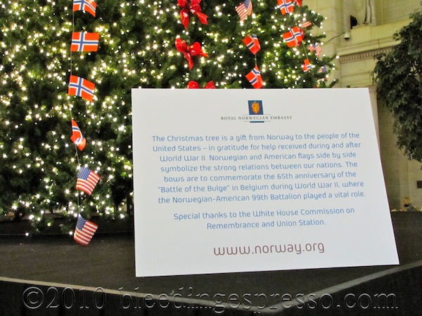 Norwegian Christmas Tree at Union Station