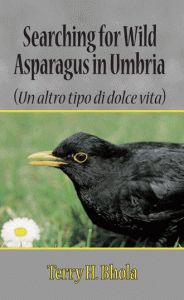 Searching for Wild Asparagus in Umbria by Terry H. Bhola