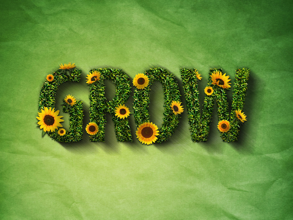 GROW - Thanks for the use of the image, Tim!