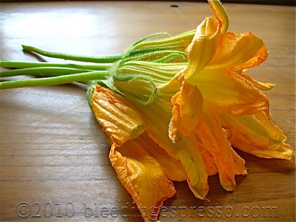 Zucchini Flower Fritters – Frittelle di Fiori di Zucca | Bleeding ...